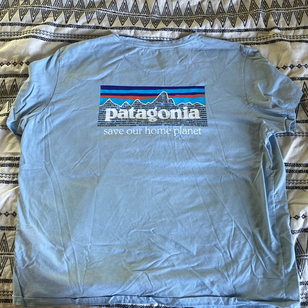 Patagonia tee